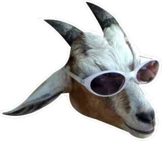 😎 goat, sunglasses, animal, funny, cool telegram sticker