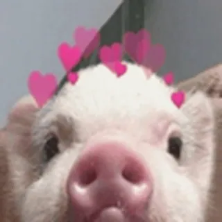 🥰