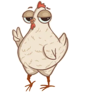✌️ frango, animal, pássaro, engraçado, adesivo, desenho animado telegram sticker