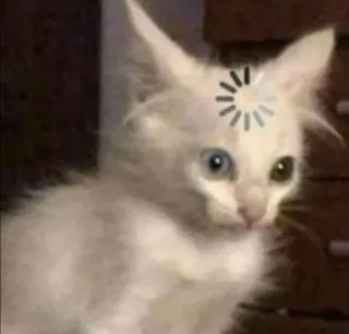 😕 chat, chargement, réflexion, animal, chat blanc, drôle, mème telegram sticker