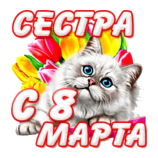 С Женским Днем! 8 марта telegram stickers