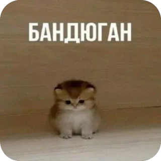 🫥 БАНДЮГАН telegram sticker