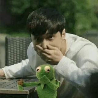 🐸 Kermit Kermit, o Sapo, Meme, Fantoche, Reação, Engraçado whatsapp sticker
