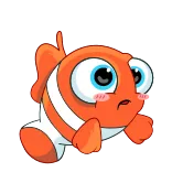❓ pesce, pesce pagliaccio, cartone animato, carino, animale telegram sticker