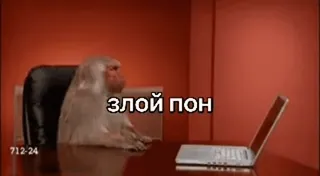 🤬 злой пон monyet, kantor, komputer, binatang, lucu, meme telegram sticker