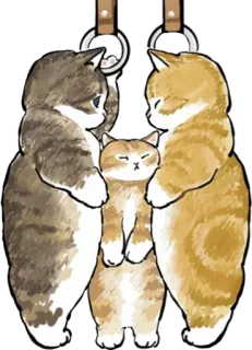 😬 kucing, kucing, imut, hewan, anak kucing, tergantung telegram sticker