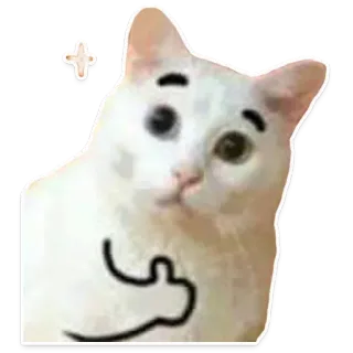 🐱 gato, meme, dedo corazón, gracioso, lindo, animal telegram sticker
