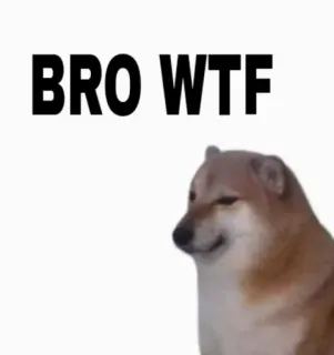 😒 BRO WTF Meme, Doge, Perro, WTF, Meme de Internet, Bro telegram sticker