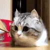 👀