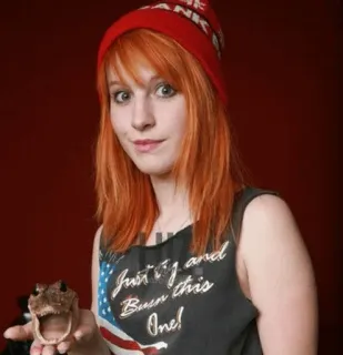Hayley Williams ( by @kellin_quinn ) telegram stickers