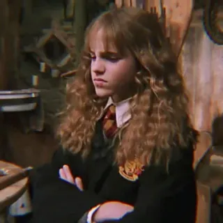 🐿 Hermione Granger Harry Potter harry potter, hermiene, hermiene griffel, tovenaar, heks, griffioen telegram sticker