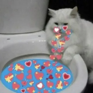 😭 猫, トイレ, ハート, ミーム, 面白い, 動物 telegram sticker