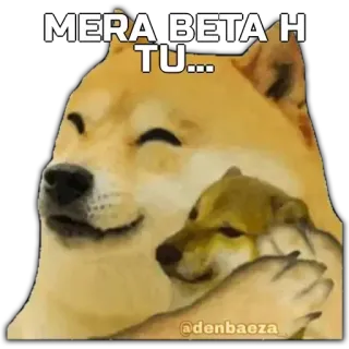 🙂 MERA BETA H TU... Doge, Pies, Meme, Słodkie, Zwierzę whatsapp sticker
