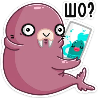 ❓ ШО? dibujo animado, foca, animal, gracioso, mono, pegatina, pregunta telegram sticker