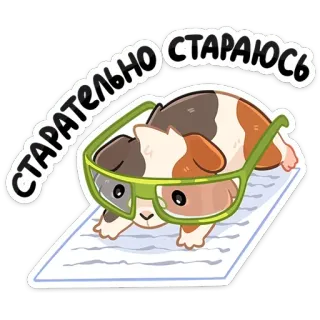 🤓 СТАРАТЕЛЬНО СТАРАЮСЬ モルモット, メガネ, かわいい, 動物, 読書, 勉強, 漫画 telegram sticker