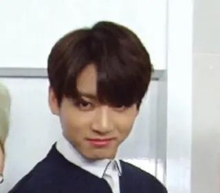 😏 Jungkook Jungkook, singer, K-pop, BTS telegram sticker