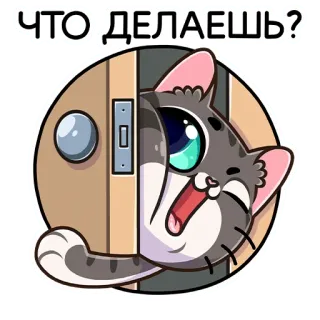 ❓ ЧТО ДЕЛАЕШЬ? kucing, mengintip, pintu, imut, stiker, rusia whatsapp sticker
