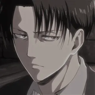 🦅 Levi Ackerman Attack on Titan Аниме, Леви Аккерман, Атака титанов, Персонаж, Манга whatsapp sticker