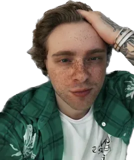 😍 hombre, pecas, tatuaje, camisa verde, retrato, persona telegram sticker