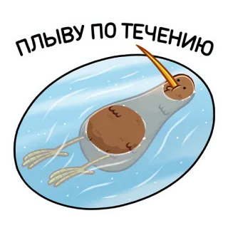 🏊‍♂️ ПЛЫВУ ПО ТЕЧЕНИЮ птица, плавание, вода, плавающий, киви, животное telegram sticker