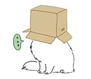 🛍 gatto, scatola, divertente, animale, carino telegram sticker