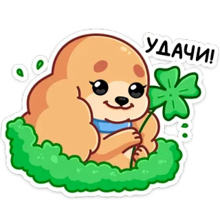 🍀 УДАЧИ! Hund, vierblättriges Kleeblatt, Glück, Viel Glück, Cartoon Hund, süß telegram sticker