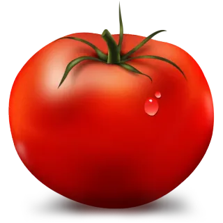 🍗 tomate, fruta, verdura, rojo, comida, saludable, ingrediente telegram sticker