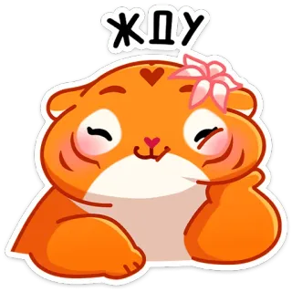 ☺️ ЖДУ น่ารัก, สัตว์, รอ, สีหน้า, สติกเกอร์, ภาพประกอบ telegram sticker