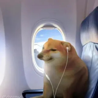 🙂 dog, cheems, doge, airplane, window, headphones telegram sticker