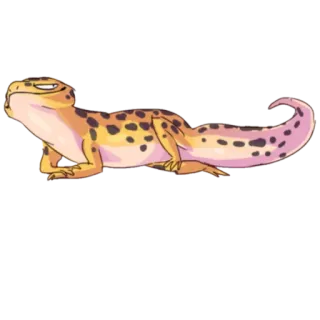 🙃 Eidechse, Gecko, Tier, Reptil telegram sticker