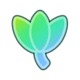 🌷