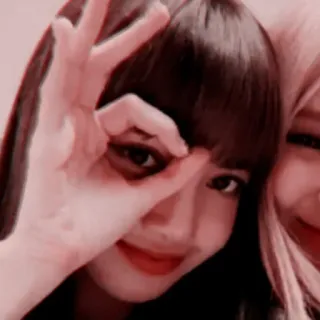 👌 woman, selfie, kpop, beauty, girl, ok hand whatsapp sticker