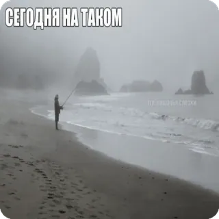 Больше стиков тут: @stikery4 telegram stickers