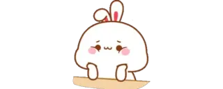 👑 conejo, lindo, pegatina, kawaii, conejo telegram sticker