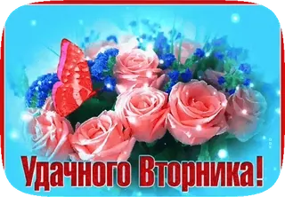 🦋 Удачного Вторника! mawar, bunga, kupu-kupu, selasa, salam, berbunga, buket whatsapp sticker