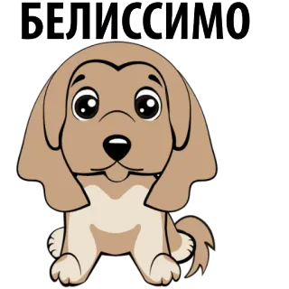 🐶 БЕЛИССИМО hond, schattig, puppy, russisch, tekst, dier, cartoon whatsapp sticker