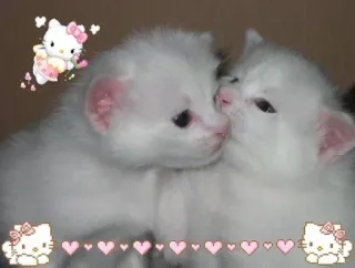 больше ྀི @emojipipka telegram stickers