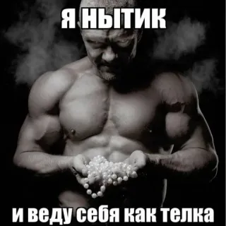💪 Я НЫТИК
и веду себя как телка Meme russe, Bodybuilder, Perles, Drôle, Meme qui pleure telegram sticker