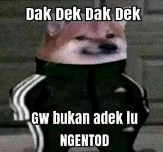 ➖ Dak dek Dak Dek
gw bukan adek lu
NGENTOD doge, mème, indonésien telegram sticker