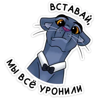 😱 ВСТАВАЙ, МЫ ВСЁ УРОНИЛИ mèo, báo đen, động vật, nga, nhãn dán, hoạt hình telegram sticker