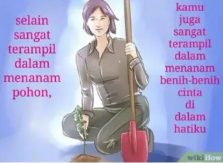 🥰 selain
sangat
terampil
dalam
menanam
pohon,
kamu
juga
sangat
terampil
dalam
menanam
benih-benih
cinta
di
dalam
hatiku 植栽, 愛, ガーデニング, 木, 植物 telegram sticker