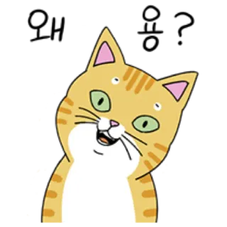 🐈 cat, animal, pet, cartoon, orange, cute telegram sticker