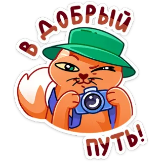 😉 Добрый путь! gatto, animale, viaggio, macchina fotografica, adesivo, cartone animato, arancione, cappello telegram sticker