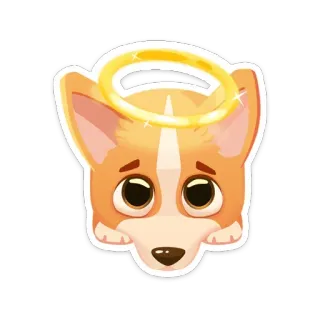 😇 cachorro, corgi, anjo, auréola, fofo, animal de estimação telegram sticker