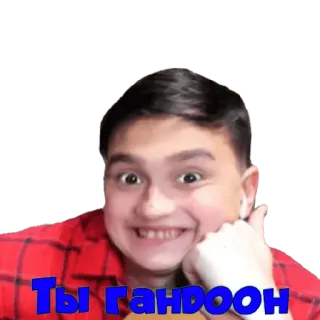 😁 Ты гандон ofensivo, insulto, russo, texto telegram sticker