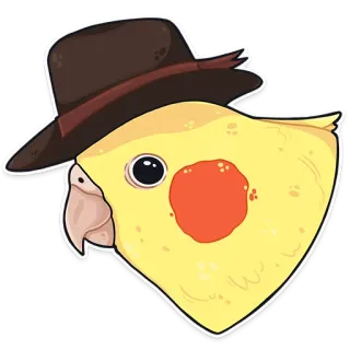 👋 nimfa, ptak, kapelusz, zwierzę domowe, zwierzę, fedora telegram sticker