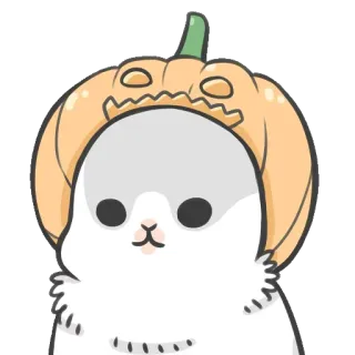 🎃 cat, pumpkin, hat, halloween, animal, cute, sticker telegram sticker