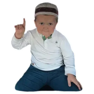👌 Hasbulla Magomedov meme, internet celebrity, Hasbulla, fighter, funny telegram sticker