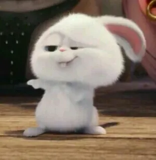 🐾 Snowball The Secret Life of Pets coniglio, coniglietto, carino, animale, bianco, cartone animato whatsapp sticker