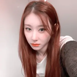 💠 whatsapp sticker